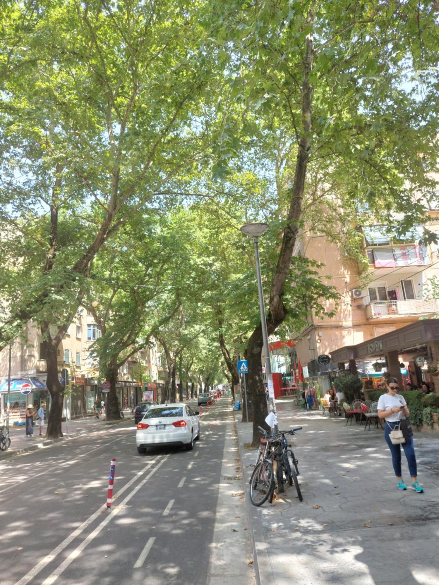 Myslym Shyri Lovely Top Apartment Tirana Kültér fotó